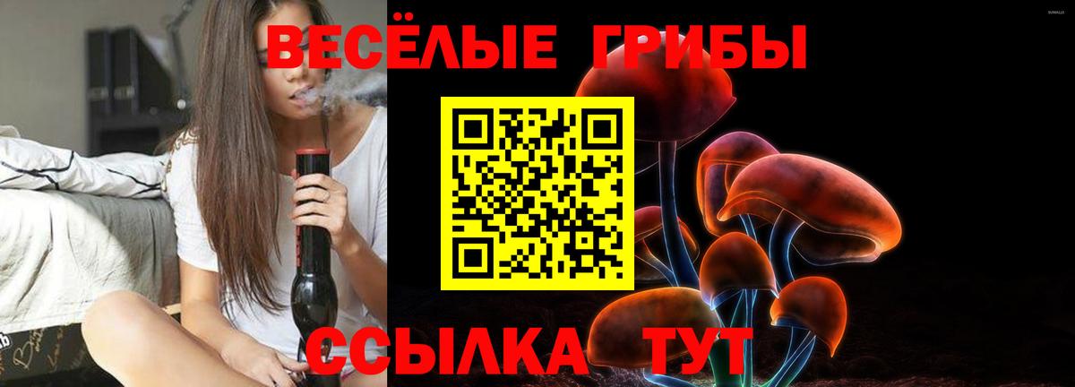 Галлюциногенные грибы прущие грибы  Вход с VPN  Ефремов 